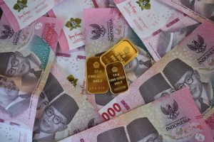 Apa itu Danantara Indonesia Sovereign Fund?